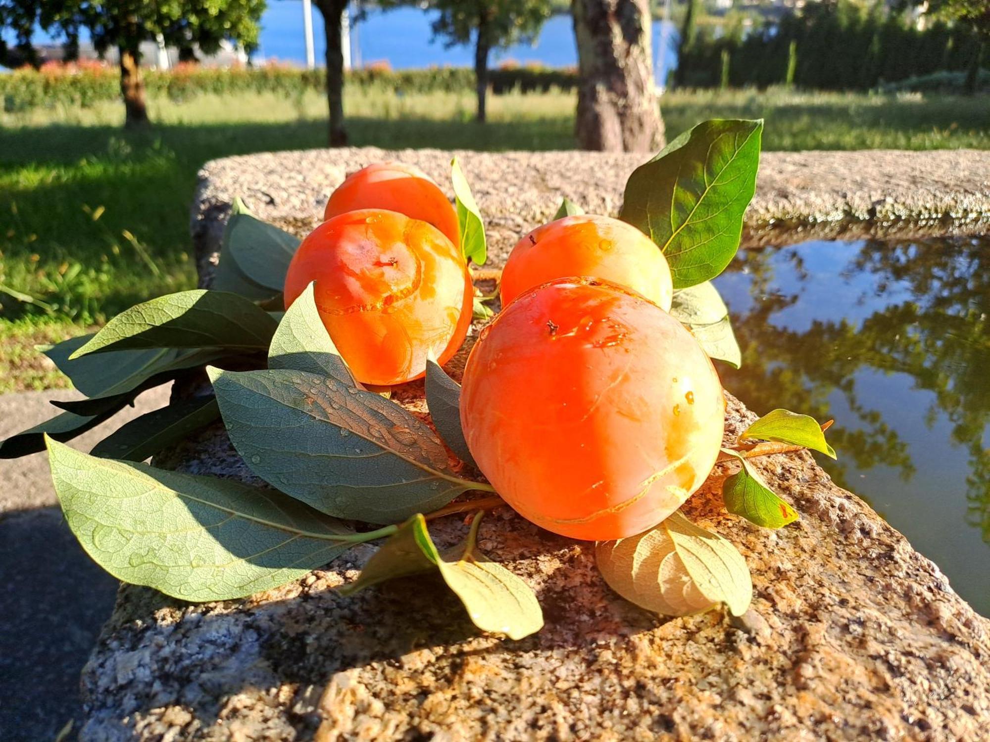 Burguesinha Al Entre-Os-Rios 아파트 외부 사진